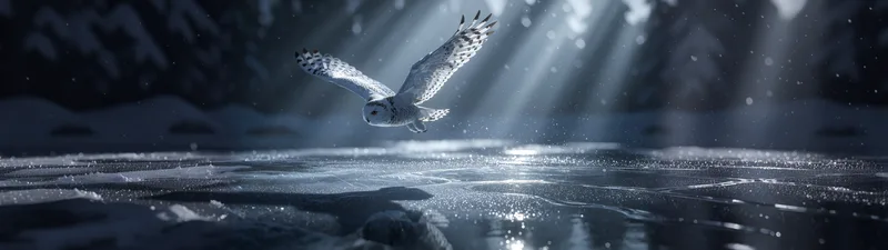Flight